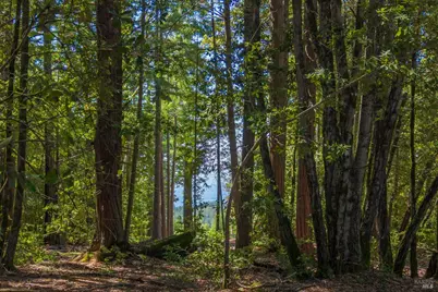 31459 Seaview Road, Cazadero, CA 95421 - Photo 20