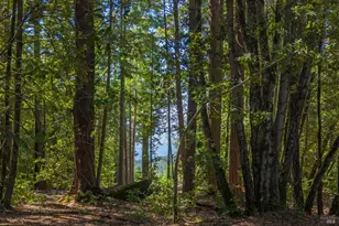 31459 Seaview Rd, Cazadero, CA 95421 - Photo 20