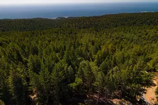 31459 Seaview Rd, Cazadero, CA 95421 - Photo 26
