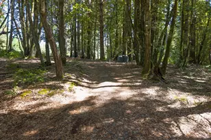 31459 Seaview Rd, Cazadero, CA 95421 - Photo 24
