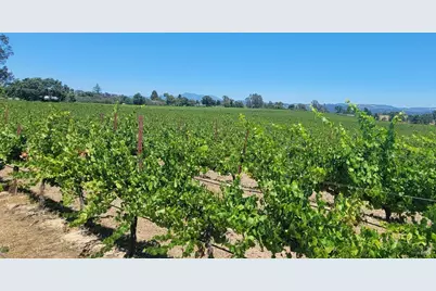 2892 Mark West Station Road, Windsor, CA 95492 - Photo 2