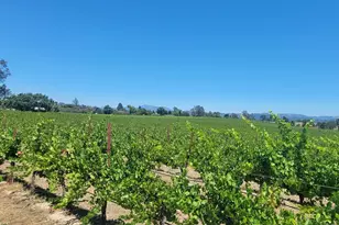 2892 Mark West Station Rd, Windsor, CA 95492 - Photo 2