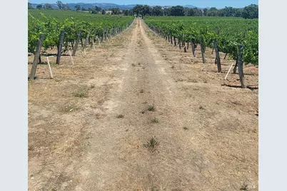 2892 Mark West Station Road, Windsor, CA 95492 - Photo 10