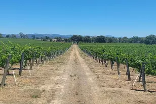 2892 Mark West Station Rd, Windsor, CA 95492 - Photo 10