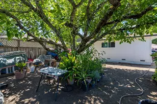 18811 Park Tree Ln, El Verano, CA 95476 - Photo 24