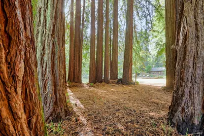 10131 Hwy 116, Forestville, CA 95436 - Photo 60