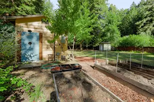 10131 Hwy 116, Forestville, CA 95436 - Photo 70