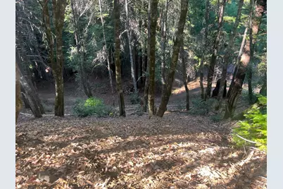 2581 Primrose Drive, Willits, CA 95490 - Photo 6