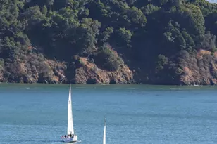 2350 Paradise Dr, Tiburon, CA 94920 - Photo 38