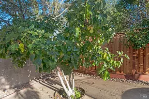 1436 Buchanan St, Novato, CA 94947 - Photo 34