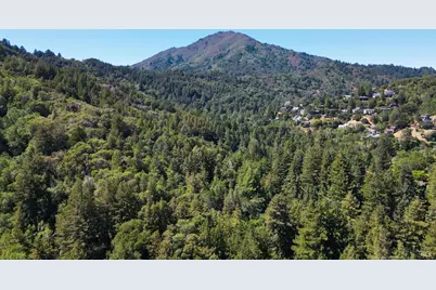 207 Madrone Avenue, Larkspur, CA 94939 - Photo 26
