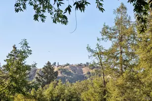 76 Forrest Ave, San Anselmo, CA 94960 - Photo 42