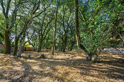 690 Palm Avenue, Penngrove, CA 94951 - Photo 62
