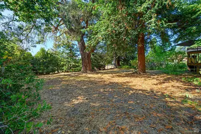 690 Palm Avenue, Penngrove, CA 94951 - Photo 56