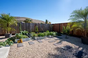 457 Violet Rd, Hercules, CA 94547 - Photo 28