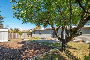 1239 Janet Way, Santa Rosa, CA 95405 - Photo 10