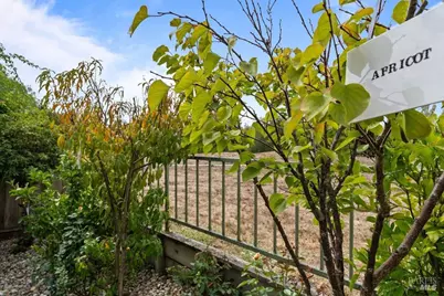 2010 Falcon Ridge Drive, Petaluma, CA 94954 - Photo 48