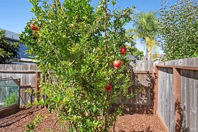1136 Navarro Street, Santa Rosa, CA 95401 - Photo 36