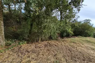 506 White Cottage Rd, Angwin, CA 94508 - Photo 38