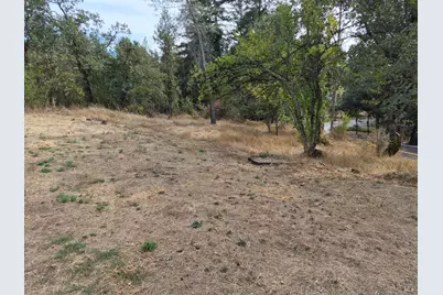 506 White Cottage Road, Angwin, CA 94508 - Photo 40