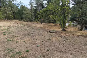 506 White Cottage Rd, Angwin, CA 94508 - Photo 40