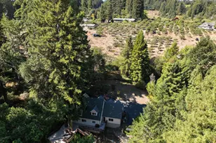 11532 Occidental Rd, Sebastopol, CA 95472 - Photo 34