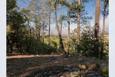 5025 Lichau Road, Penngrove, CA 94951 - Photo 72