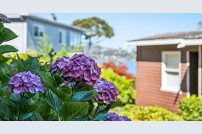 47 Bulkley Avenue, Sausalito, CA 94965 - Photo 76