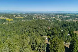 819 Jonive Rd, Sebastopol, CA 95472 - Photo 70