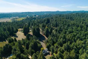 819 Jonive Rd, Sebastopol, CA 95472 - Photo 72