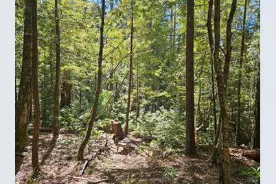 388 Moonraker Road, The Sea Ranch, CA 95497 - Photo 12