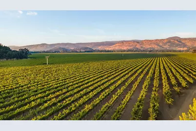 6950 Yount Street, Yountville, CA 94599 - Photo 1
