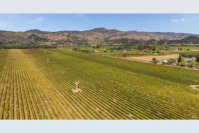 6950 Yount Street, Yountville, CA 94599 - Photo 44