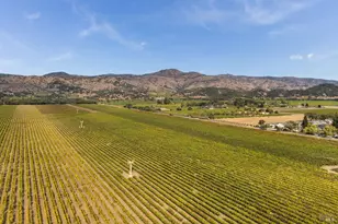 6950 Yount St, Yountville, CA 94599 - Photo 44