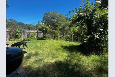 1700 Ca-20 Highway, Willits, CA 95490 - Photo 8
