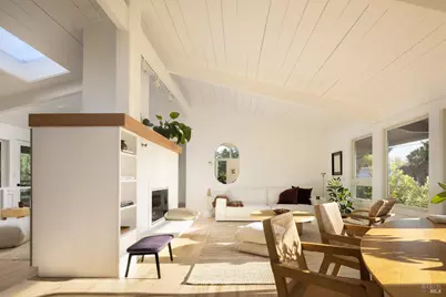 214 Cleveland Court, Mill Valley, CA 94941 - Photo 4