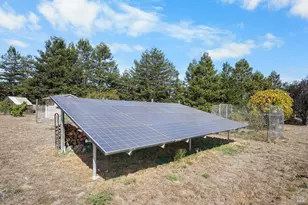 51 Boylan Ln, Sebastopol, CA 95472 - Photo 58