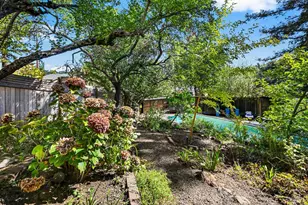 18 Plumas Ave, San Anselmo, CA 94960 - Photo 58