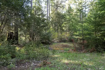 40410 Old Stage Road, Gualala, CA 95445 - Photo 1