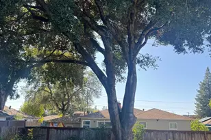 2117 Harris Ct, Santa Rosa, CA 95401 - Photo 30