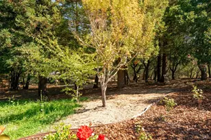 1497 Hurlbut Ln, Sebastopol, CA 95472 - Photo 42