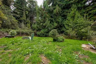 19151 Pine Tree Ln, Fort Bragg, CA 95437 - Photo 4