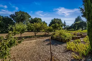 1177 Ragatz Ln, Napa, CA 94558 - Photo 50