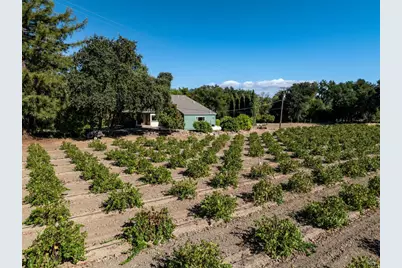 1177 Ragatz Lane, Napa, CA 94558 - Photo 60
