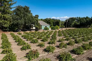 1177 Ragatz Ln, Napa, CA 94558 - Photo 60