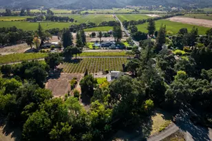 1177 Ragatz Ln, Napa, CA 94558 - Photo 70