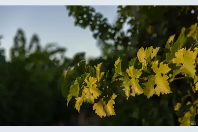0 Ragatz Lane, Napa, CA 94558 - Photo 26