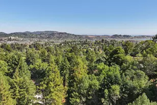 195 Marina Vista Ave, Larkspur, CA 94939 - Photo 26