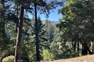 469 Corona Ave, Lagunitas, CA 94938 - Photo 40