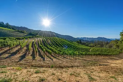 2340 Mount Veeder Road, Napa, CA 94558 - Photo 26
